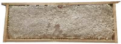 Пчелини 6