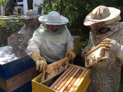 Bg qualityhoney - BG Quality Honey - Ловеч