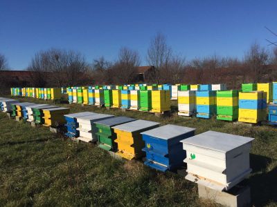 Bg qualityhoney - BG Quality Honey - Ловеч