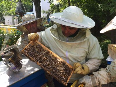 Bg qualityhoney - BG Quality Honey - Ловеч